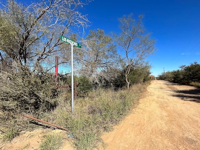 630 Los Huisaches Rd, Laredo, TX 78045 - photo 2