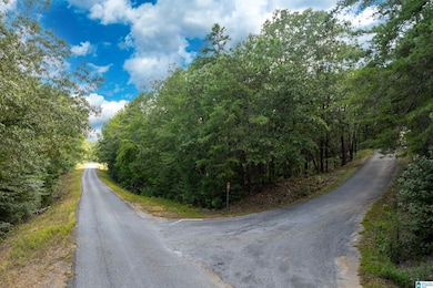 Lot 4 Constellation Ave, Alpine, AL 35014 - photo 5