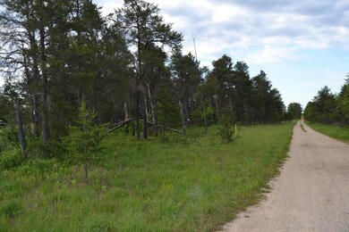West Boundary along Ermine Tr