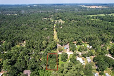 TBD Mossyknoll Dr, Plantersville, TX 77363 - photo 6