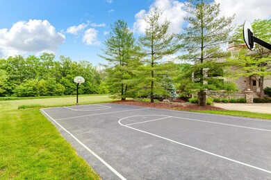 Basketball Court