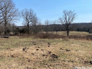 TBD Byron Rd, Salem, AR 72576 - photo 2