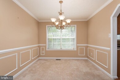 13 Harry Ct, Stafford, VA 22554 - photo 4