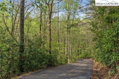 TBD Springhollow Rd, Banner Elk, NC 28604 - photo 5