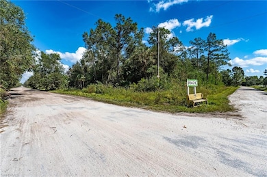 0 Sanctuary Rd unit 225078396, Naples, FL 34120 - photo 6