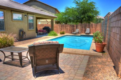 Backyard 3