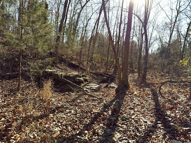 0 Pleasant Run Rd unit 25048737, Mammoth Spring, AR 72554 - photo 3