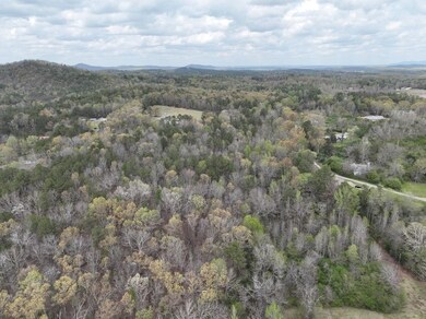 0 Berney Station Rd unit 23115946, Talladega, AL 35160 - photo 4