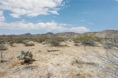 4444 Skyline Dr, Joshua Tree, CA 92252 - photo 7
