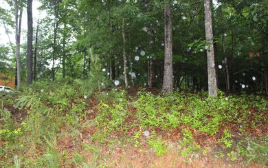 Additional View