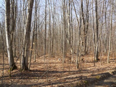 0 Sugar Maple Trail, Corwith Township, MI 49795 - photo 5