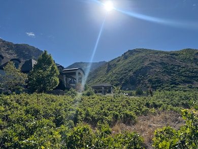 1653 N Rosanna Cir E, Alpine, UT 84004 - photo 6