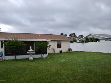 Back yard
