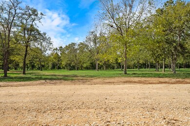 32911 Southern Manors Dr, Fulshear, TX 77441 - photo 4