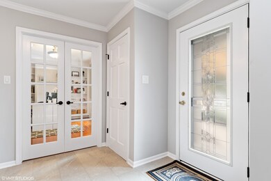 960 Eddystone Cir, Naperville, IL 60565 - photo 5