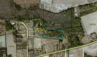 206 Stubbs Ln, Adel, GA 31620 - photo 4