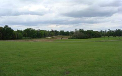 LOT14 Mandiba Dr, Lake City, FL 32024 - photo 2