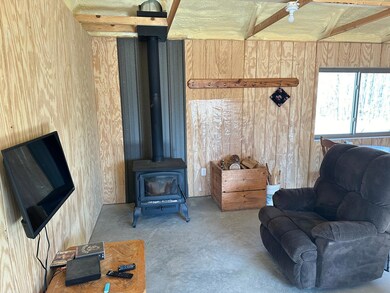 2100 380th St, Isle, MN 56342 - photo 5