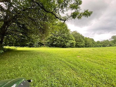 772 Leivasy Rd, Nettie, WV 26681 - photo 2