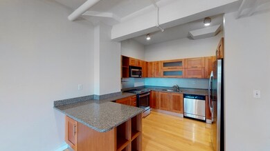Boston Loft Condos unit 104, Boston, MA 02111 - photo 5