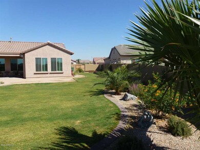 Back yard