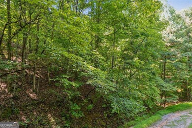 0 Pacer Ct unit 10490543, Ellijay, GA 30540 - photo 5