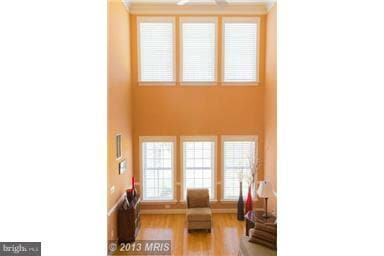 25595 Creek Run Terrace, Chantilly, VA 20152 - photo 6