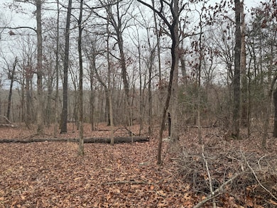 Lot 1 Waterfront 1, Shell Knob, MO 65747 - photo 7