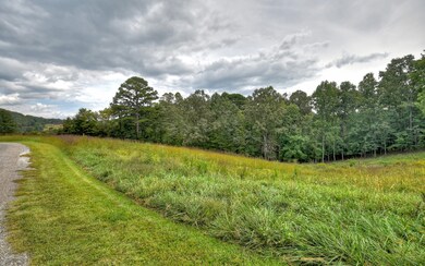Additional View