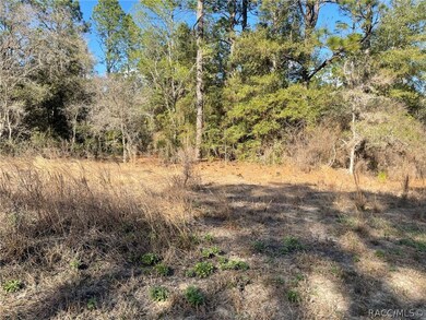 unlisted-address, Dunnellon, FL 34431 - photo 3