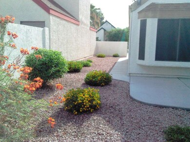 yard3