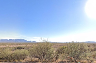 Quarter Horse Run, Sierra Blanca, TX 79851 - photo 7