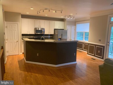 13530 Davinci Ln unit 53, Herndon, VA 20171 - photo 2