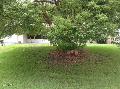 neighbors yard.