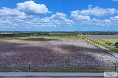 TBD Joines Rd, San Benito, TX 78586 - photo 4
