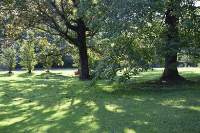 234 County Road 102, Oxford, MS 38655 - photo 3