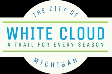 998 E Monroe St, White Cloud, MI 49349 - photo 5