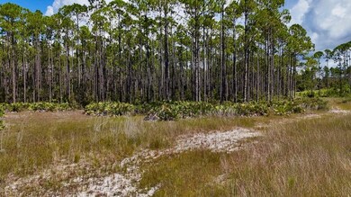 00 Key Deer unit LotWP001, Perry, FL 32348 - photo 2