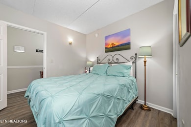 Gatlinburg Chateau unit 506, Gatlinburg, TN 37738 - photo 7