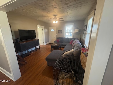 116 Elizabeth St, Bristol, TN 37620 - photo 3