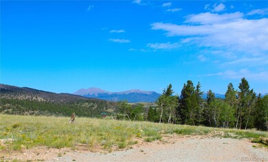 198 Baler Ct unit 891, Hartsel, CO 80449 - photo 3