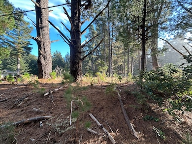 9020 Shelter Cove Rd, Whitethorn, CA 95589 - photo 3