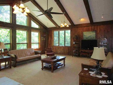 27023 Ebenezer Rd, Geneseo, IL 61254 - photo 5