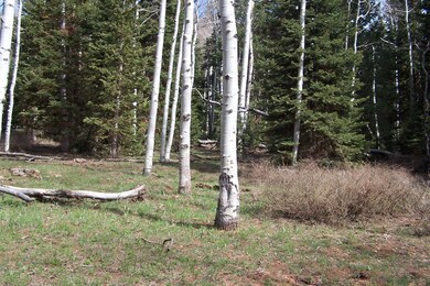 GMA 5 acre parcel 006