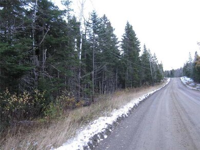 Land/Lot. Easy site to build, power...