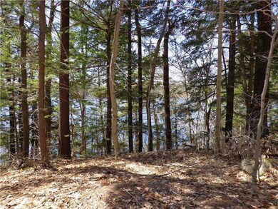 0 Lake Ave, Gray, ME 04039 - photo 5