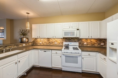 Spring Ave Station unit 202, La Grange, IL 60525 - photo 4