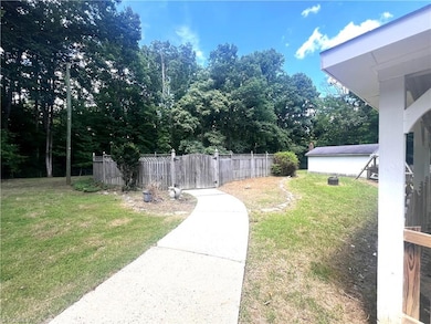 Backyard 2
