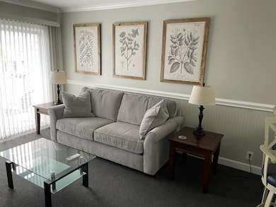 259 E Bay St unit 9B, Charleston, SC 29401 - photo 7