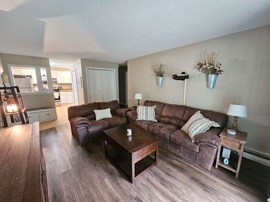 22 Ponemah Hill Rd unit 6, Milford, NH 03055 - photo 3